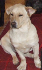 Chloe