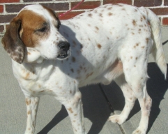 Leroy