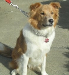 Penny