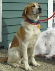 Dewey