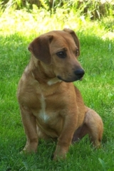 Graham
