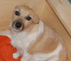 Roxy