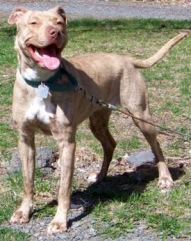 Tallulah